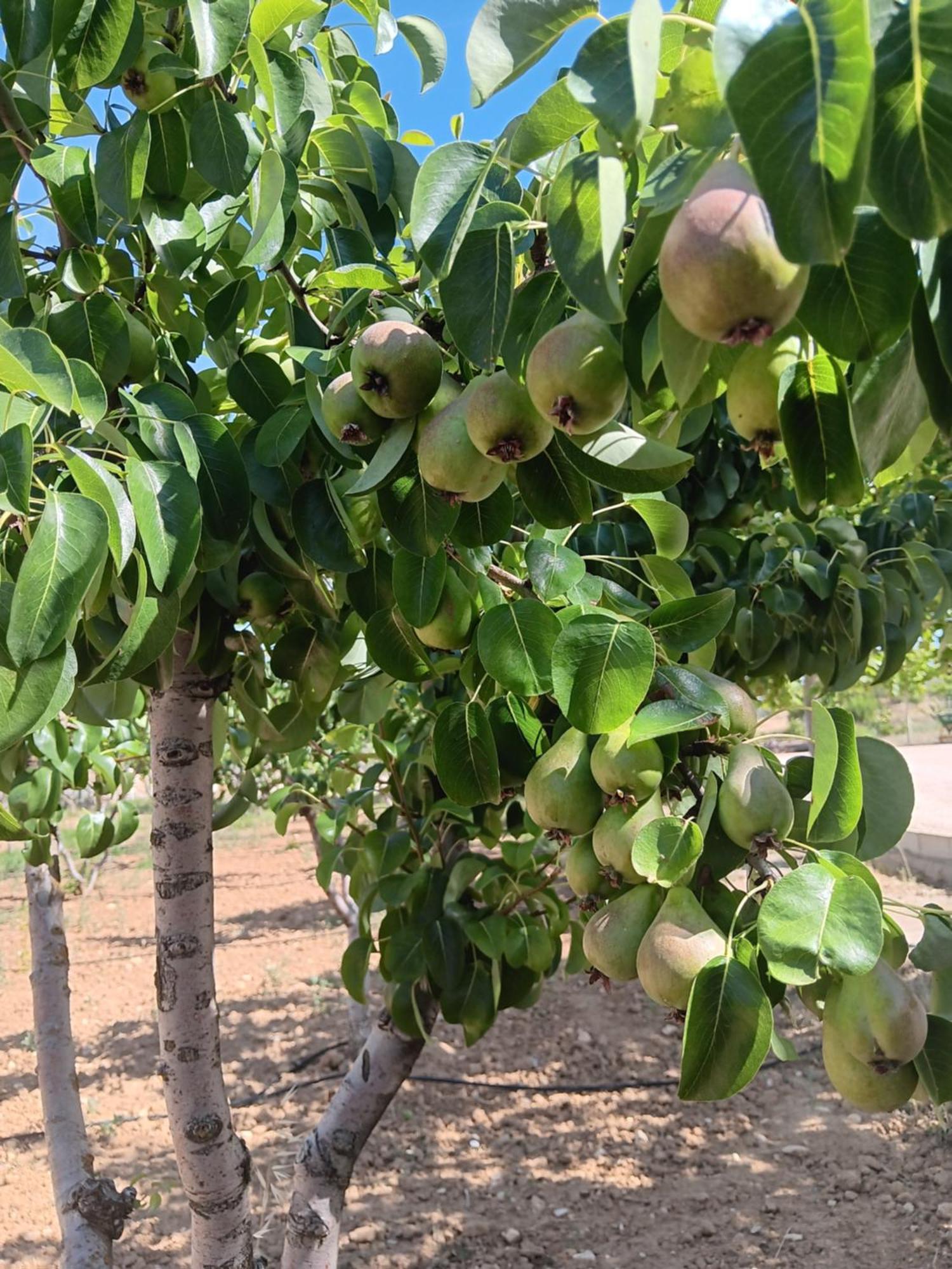 Zafra de ZáncaraEra 124公寓 外观 照片